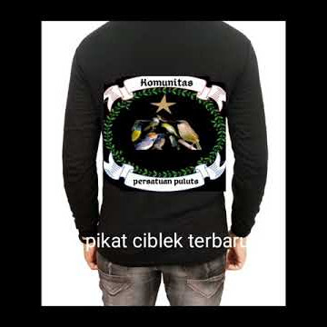 Suara pikat ciblek terbaru