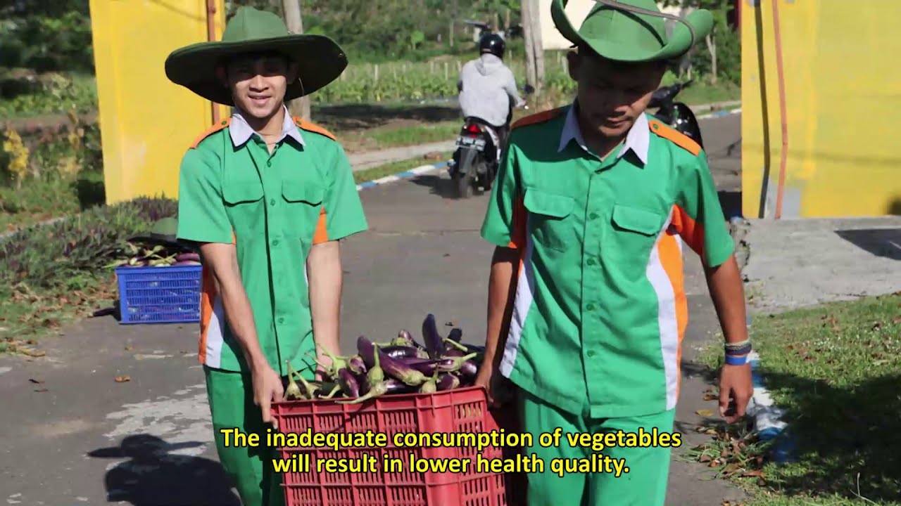 Promoting Youth Entrepreneurship in Agriculture (Urban Farming) - YouTube