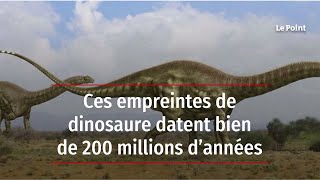 Ces empreintes de dinosaure datent bien de 200 millions d’années