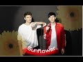 Sunflower: Dan and Phil Edit