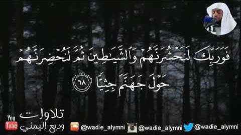 آيات بينات من سورة مريم بصوت القارئ وديع اليمني