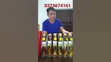 chỉ 2.2tr cho cặp bình sâm ngọc linh như này làm quà biếu tết, không thể xa xỉ hơn #sâmngọclinh