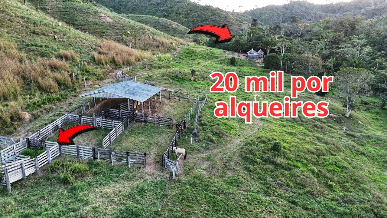 Propriedade RURAL com preço que cabe no seu bolso. 84 alqueirões em São Félix do xingu Pará