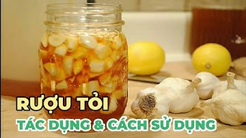 Tác dụng của rượu tỏi và cách sử dụng rượu tỏi - Kênh Hướng Dẫn
