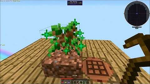 Minecraft SkyFactory 2.5 Lp Ep 1: Twerking for Trees