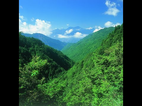 太平山國家森林遊樂區｜景觀平台即時影像