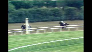 1981 Maskette Stakes - Jameela, Love Sign 2nd