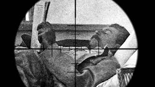 Кто стрелял в Сталина?Хронология покушений на Сталина.  #Сталин #Покушение на Сталина #враги Сталина