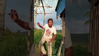 Amazing Harvester 😳😅 #humor #viralvideo #shortcomedy Amazing Harvester 😳😅 #humor #viralvideo #shortcomedy