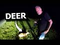 Police Found Him Sleeping Beside a Deer