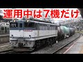 JR貨物 EF65形機関車の現況 定期運用が消失して代走等の運用のみ 懐かしいEF65の映像集 2026.5