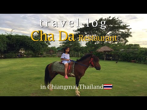 🇹🇭 태국 치앙마이의 나만 알고싶은 식당 | Chada Restaurant