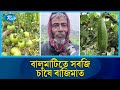কুমিল্লার মুরাদনগর গোমতী চরে সবজির বাম্পার ফলন | Rtv News