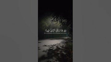 #ماهر_المعيقلي #قران_كريم #قرآن #quran #quran_kareem #تلاوة_خاشعة #foryou #explore #اكسبلور