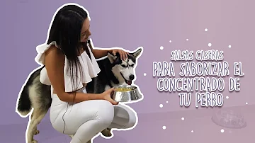 ¿Se puede poner salsa a la comida del perro?