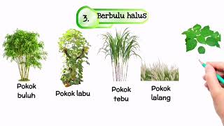 SAINS TAHUN 5 : TUMBUH-TUMBUHAN (Melindungi Diri Daripada Musuh) SAINS TAHUN 5 : TUMBUH-TUMBUHAN (Melindungi Diri Daripada Musuh)