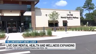VIDEO: Live Oak Mental Health & Wellness expanding services to downtown Charleston