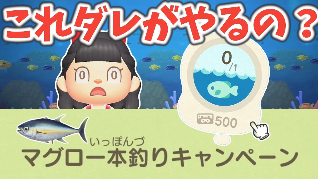 タヌキマイレージ＋のマグロ一本釣りキャンペーンにチャレンジだ【あつ森ゆっくり実況】