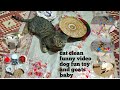 Cat clean funny dog fun toy and goats baby violation97sss  india village india viral new