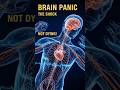Why You 'Twitch' Before Falling Asleep 🛌.               #shorts #sleep #brainworks #medical