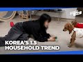 Best of both worlds? Why 1.5 households are trending among young S. Koreans