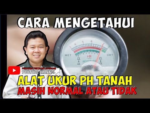 Video: Adakah kuar ph tanah berfungsi?