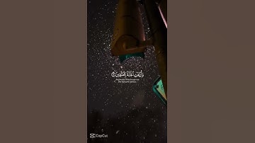 #قران_كريم #elmulquranعلم #yasseraldossary #تلاوة_خاشعة #المصحف #راحة_نفسية
