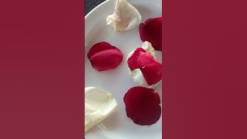 من سورة الغاشية #اكسبلور #تيك_توك