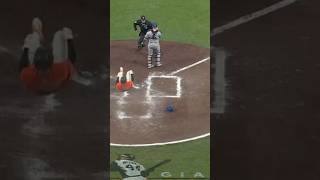 Michael Conforto Perfect Throw