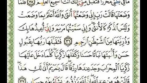 سورة آل عمران مكتوبة بصوت الشيخ ناصر علي القطامي