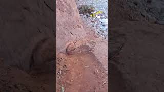 Download Lagu من تدورشت منطقة واويزغت MP3