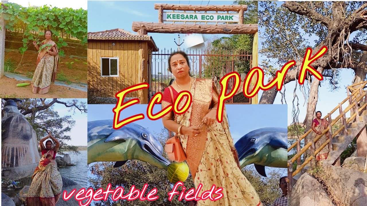 eco park 🏞️ in keesara keesara cheruvu vegatables farm keesara
