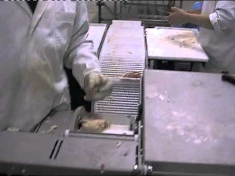 STEEN ST828, Chicken thigh, de-boning
