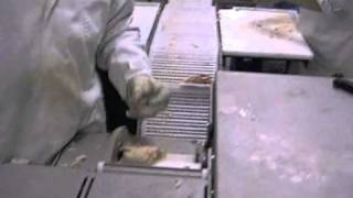 STEEN ST828, Chicken thigh, de-boning