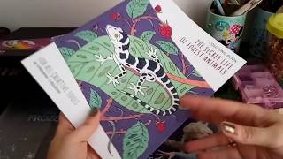 📚 Coloring book review - The secret life of forest animals