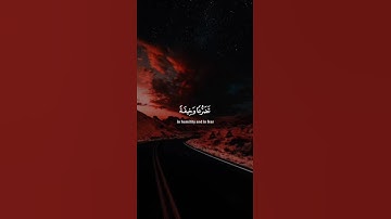 اكتب شيء تؤجر عليه 😴💚 قران كريم | ياسر الدوسري