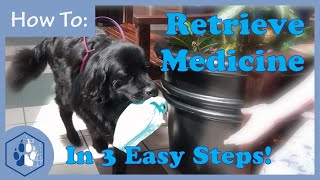 How to Teach Your Dog to Retrieve Medicine / Service Dog Training