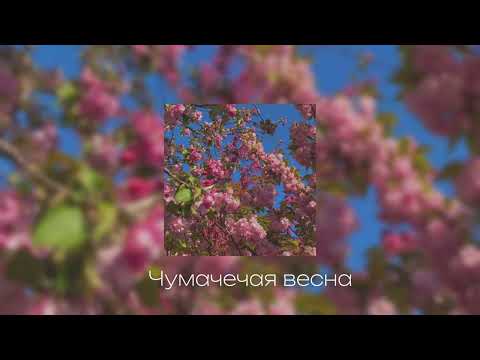 Видео: ВЕСЕННИЙ ПЛЕЙЛИСТ // speed up