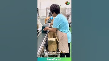 Factory Packing Flow State! ✨ That Conveyor Belt Rhythm! #satisfying #asmr #factory #worklife