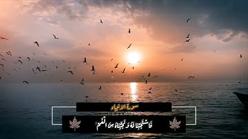 سورة الانبياء - وذا النون اذ ذهب مغاضبا - اسلام صبحي