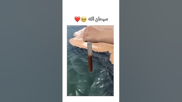 سورة الرحمن الآية |19-20 | عمير شميم تلاوة خاشعة 🎧
