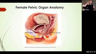 Women and Pelvic Floor Health Webinar with Hannah Finnigan - April 27th, 2020