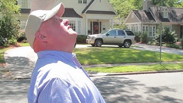 An Urban Forest: Charlotte