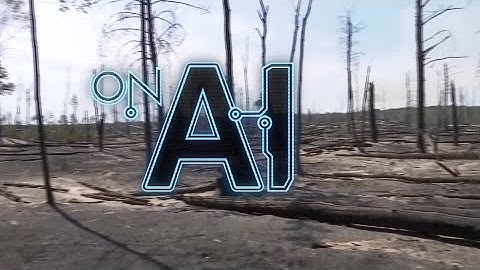 AI drone in Germany detects and monitors wildfires | REUTERS