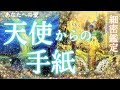 【解放の時‼️】天使からの手紙💌細密に出しています🙏深掘り個人鑑定級/タロット&オラクルカードリーディング