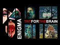 Enigma -  Tnt For The Brain