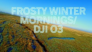 Frosty winter mornings 4K | Cinematic FPV