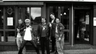 The Nazi Dogs Punk Meant