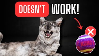 Dumb cat toy I wasted money on | Cat Toy Review |