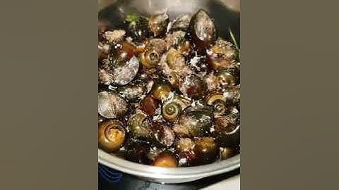 ốc bươu luộc nước dừa